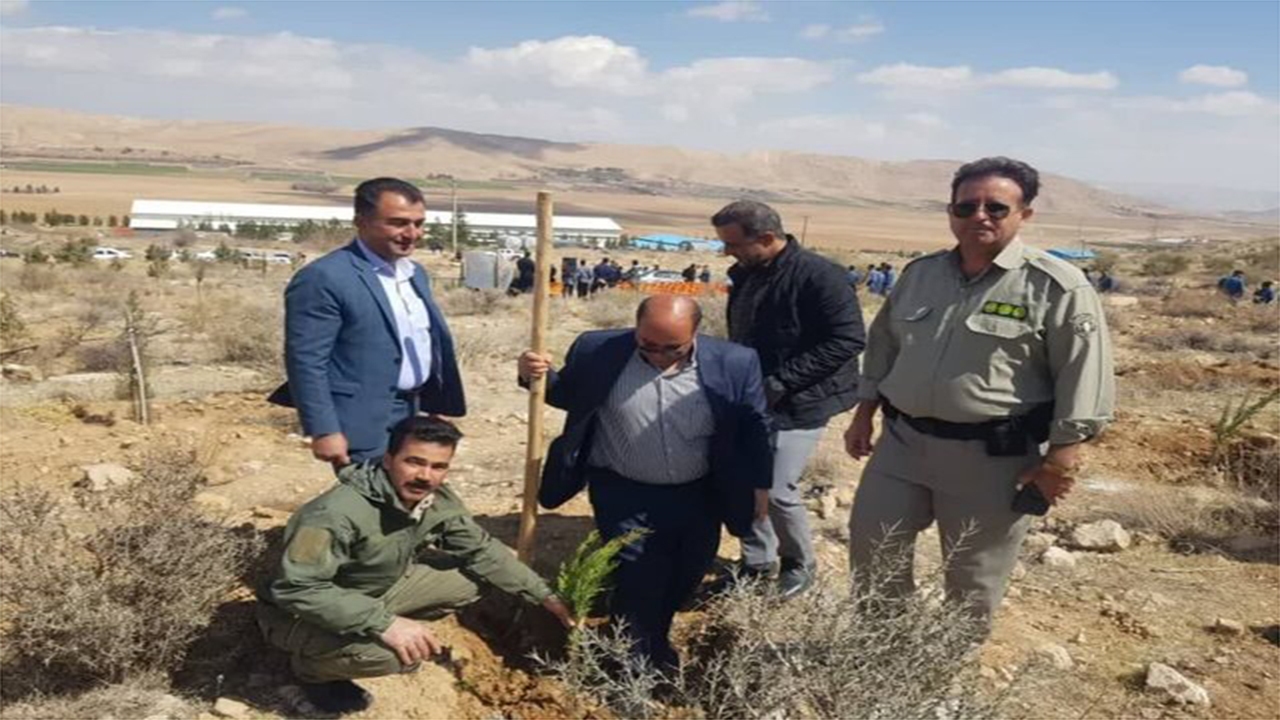 کاشت و آبیاری ۵۰۰ اصله درخت در بیضاء