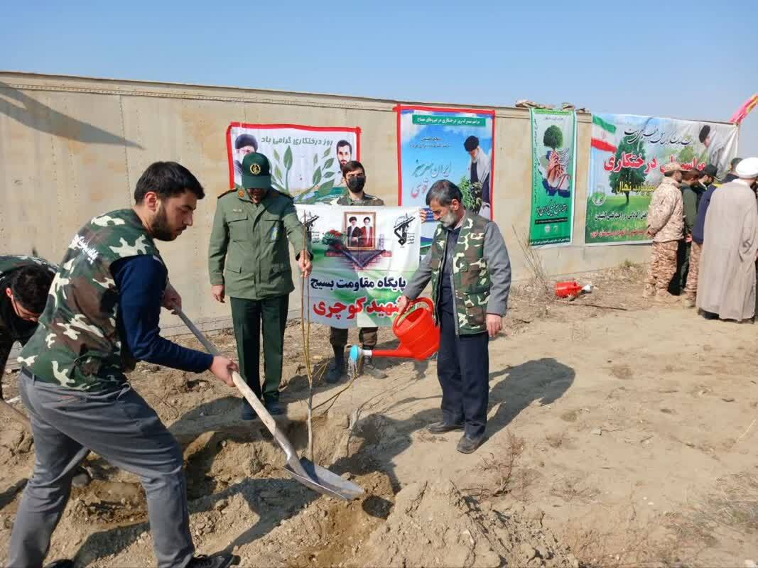 کاشت نهال درخت در خوی