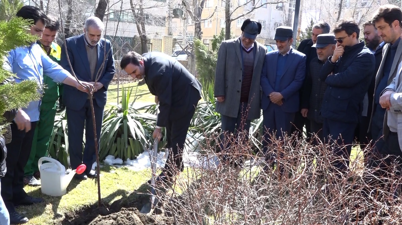 کاشت ۸ هزار اصله درخت به نیت ۸ هزار شهید استان همدان