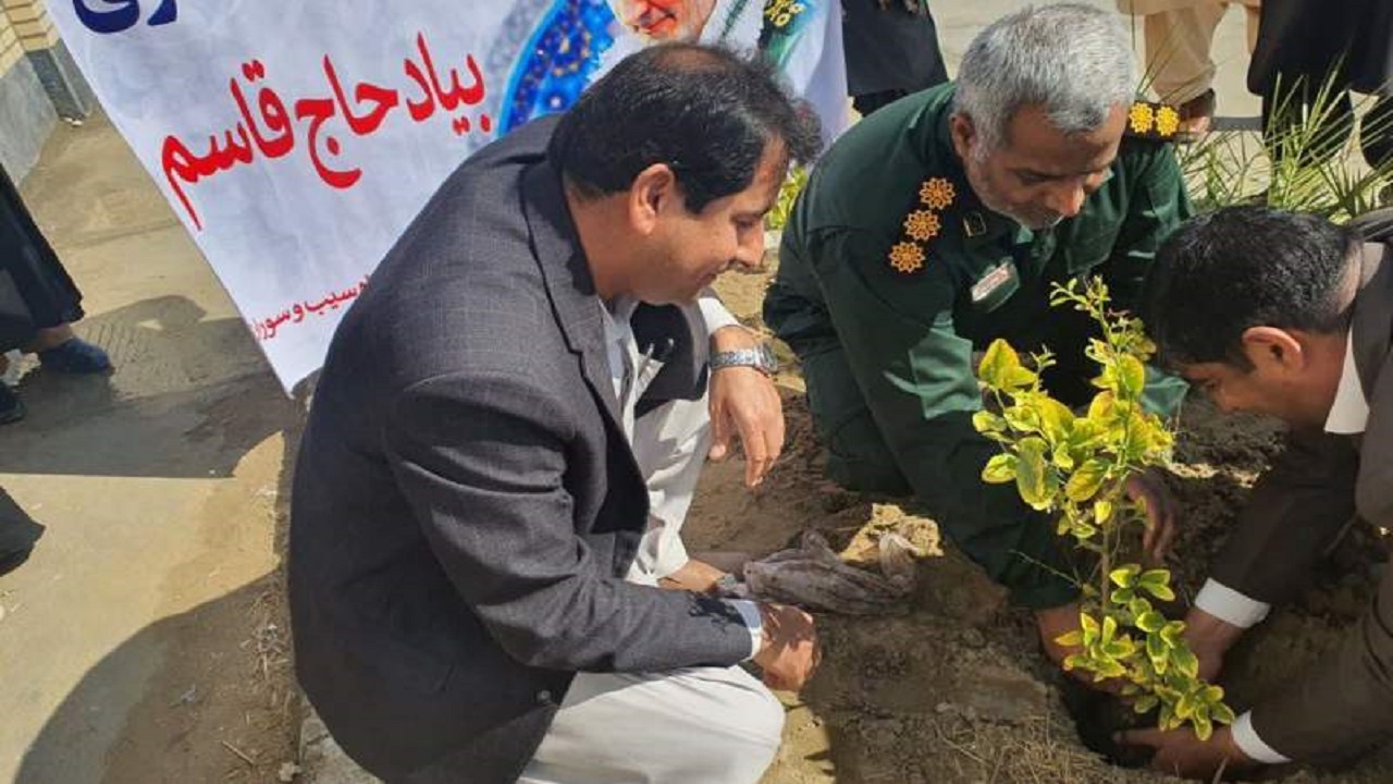 غرس ۷۵۰ اصله درخت مثمر در سیب و سوران