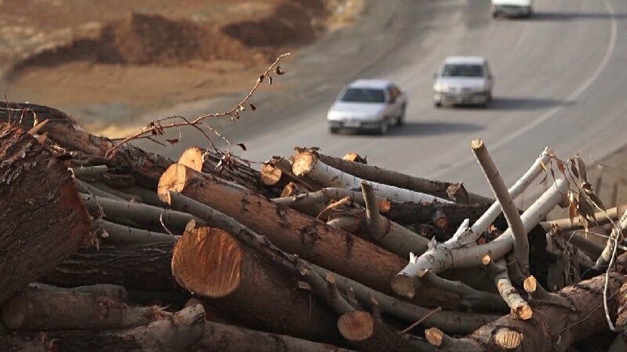 توقیف بیش از سه تن چوب قاچاق در عوارضی قم_ گرمسار