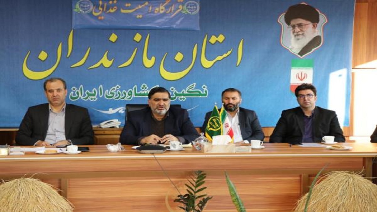 راه‌اندازی کمیته صادرات محصولات دامی مازندران