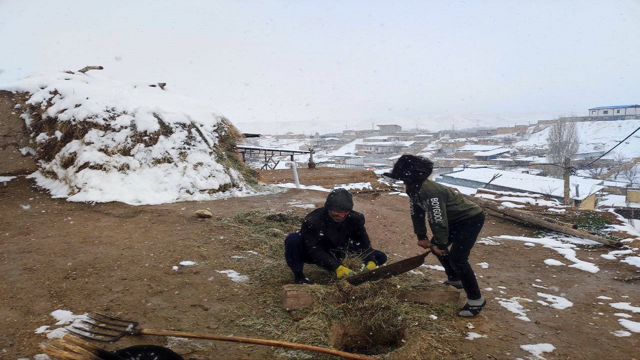 خرد کردن سنتی علوفه دام در یک روز برفی در روستای توآباد + فیلم