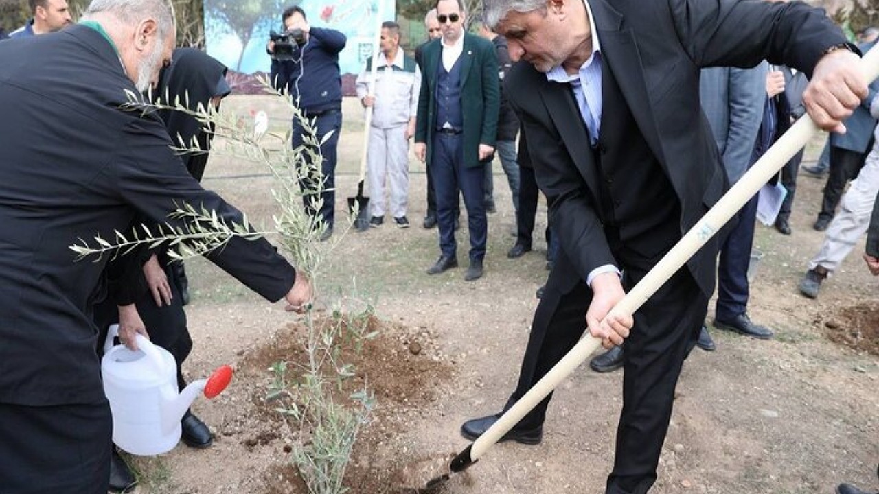 کاشت ۲۰۰ اصله نهال در سازمان انرژی اتمی ایران