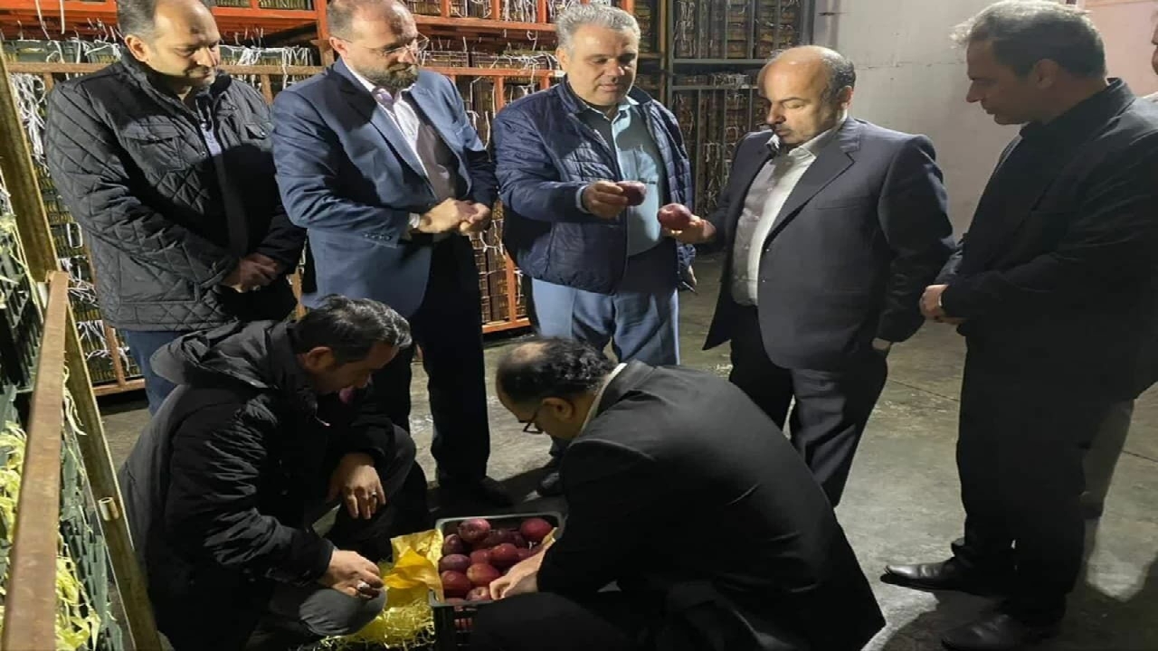 مشکلی در توزیع میوه شب عید نداریم