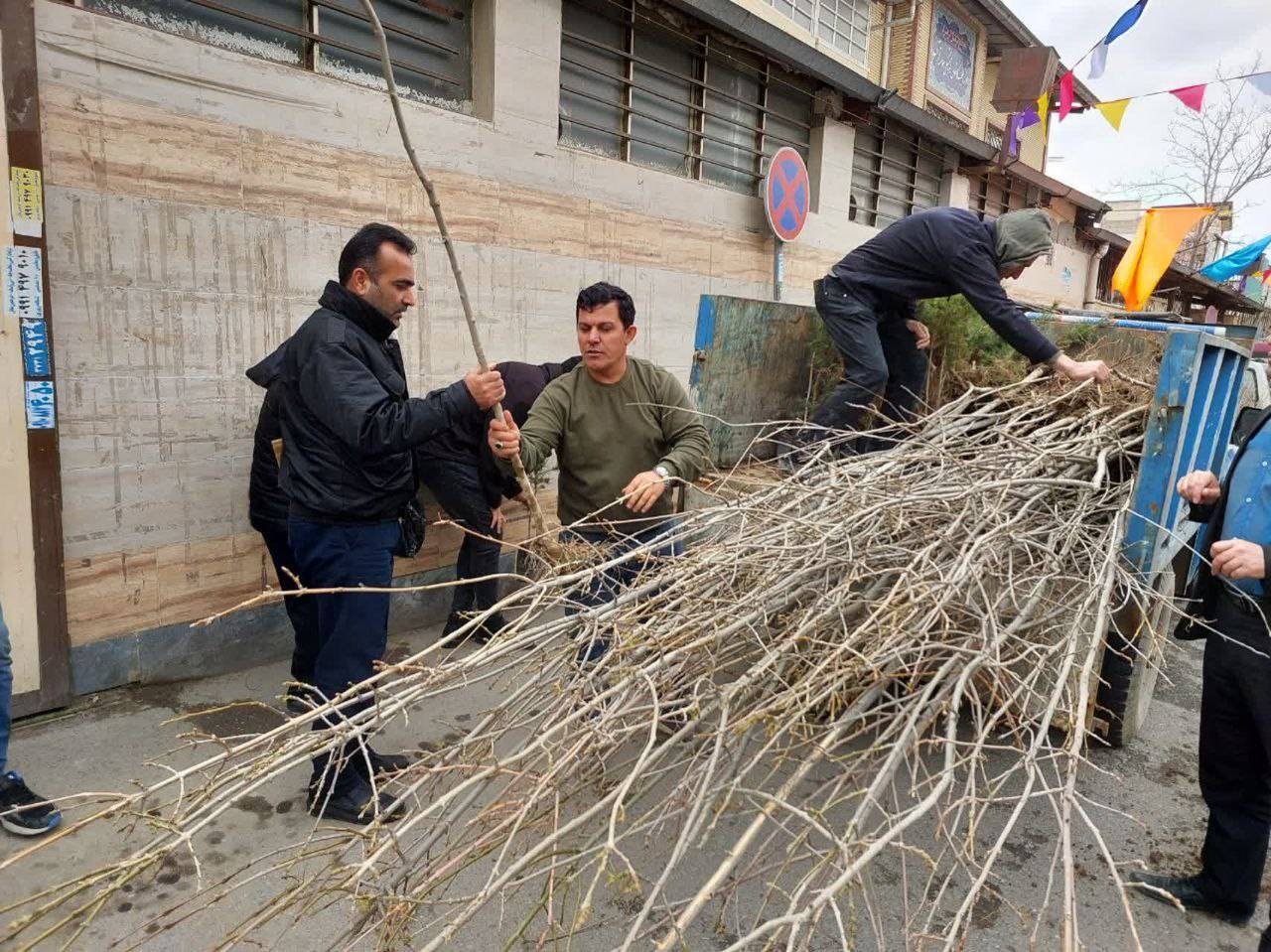 توزیع نهال