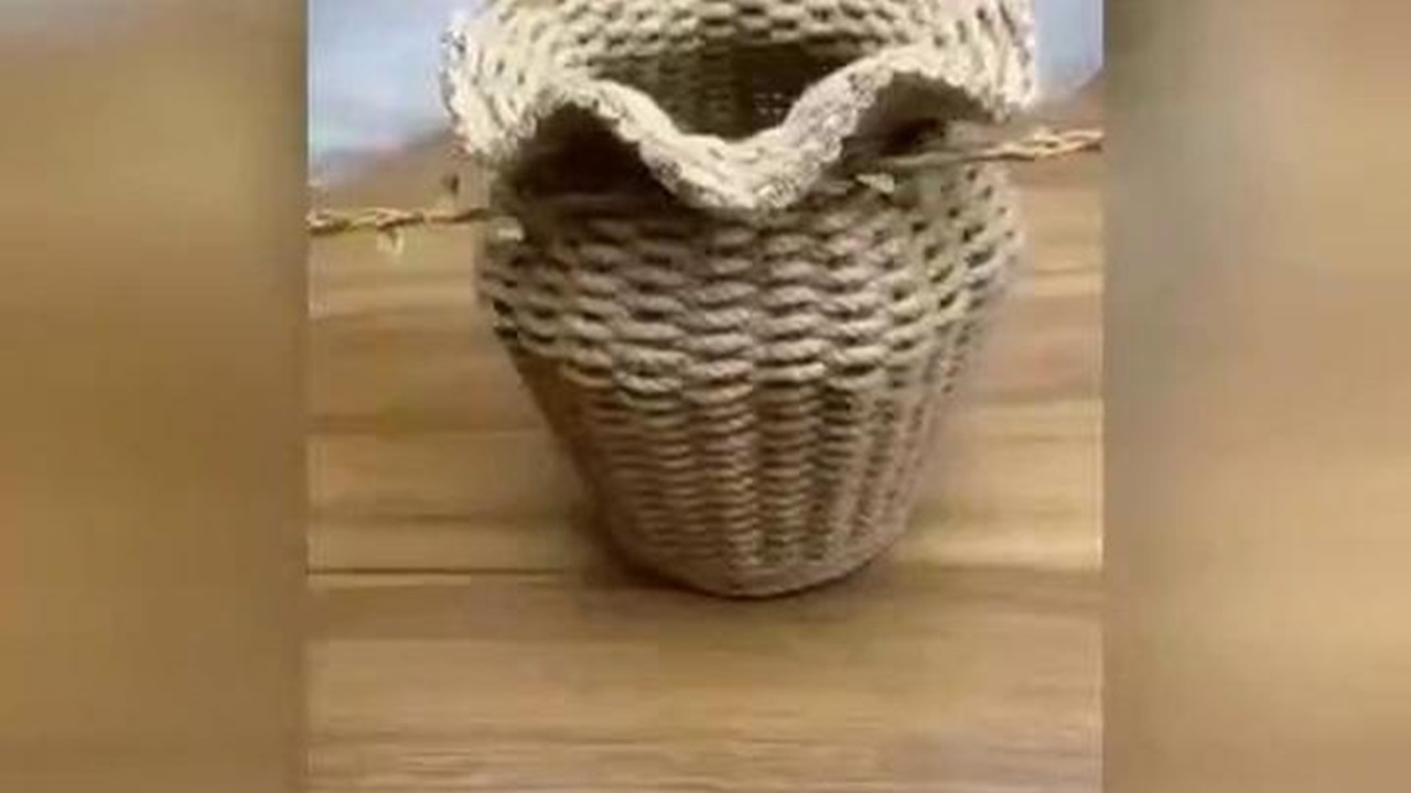 ساخت گلدان با وسایل ساده + فیلم