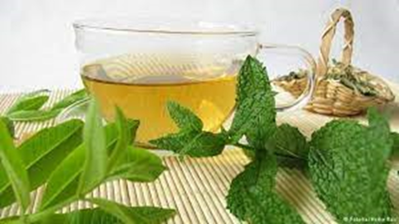 راهکار‌های ساده خانگی درمان مشکلات روده در طب سنتی + فیلم