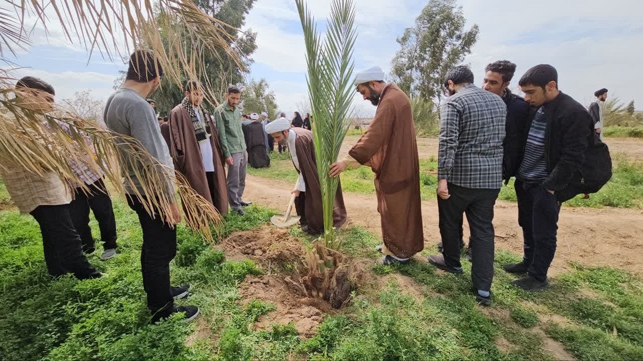 کاشت درخت نخل در تفرجگاه آبشار بافق
