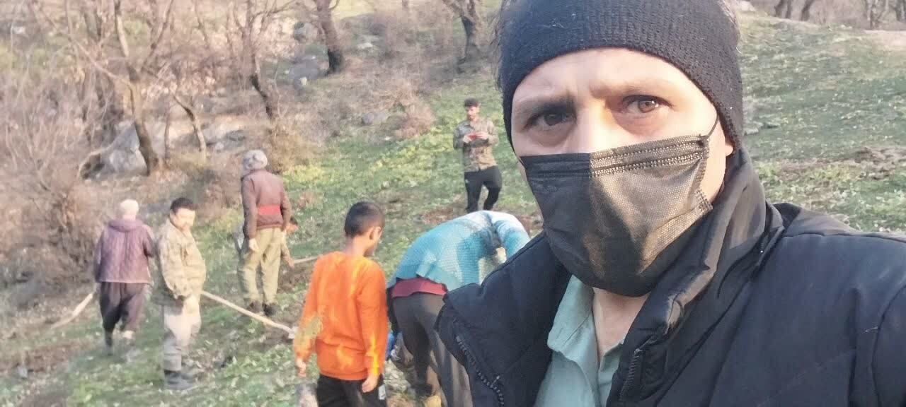 کاشت نهال در طبیعت