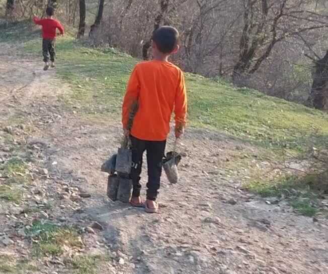 حضور کودکان در روز درختکاری