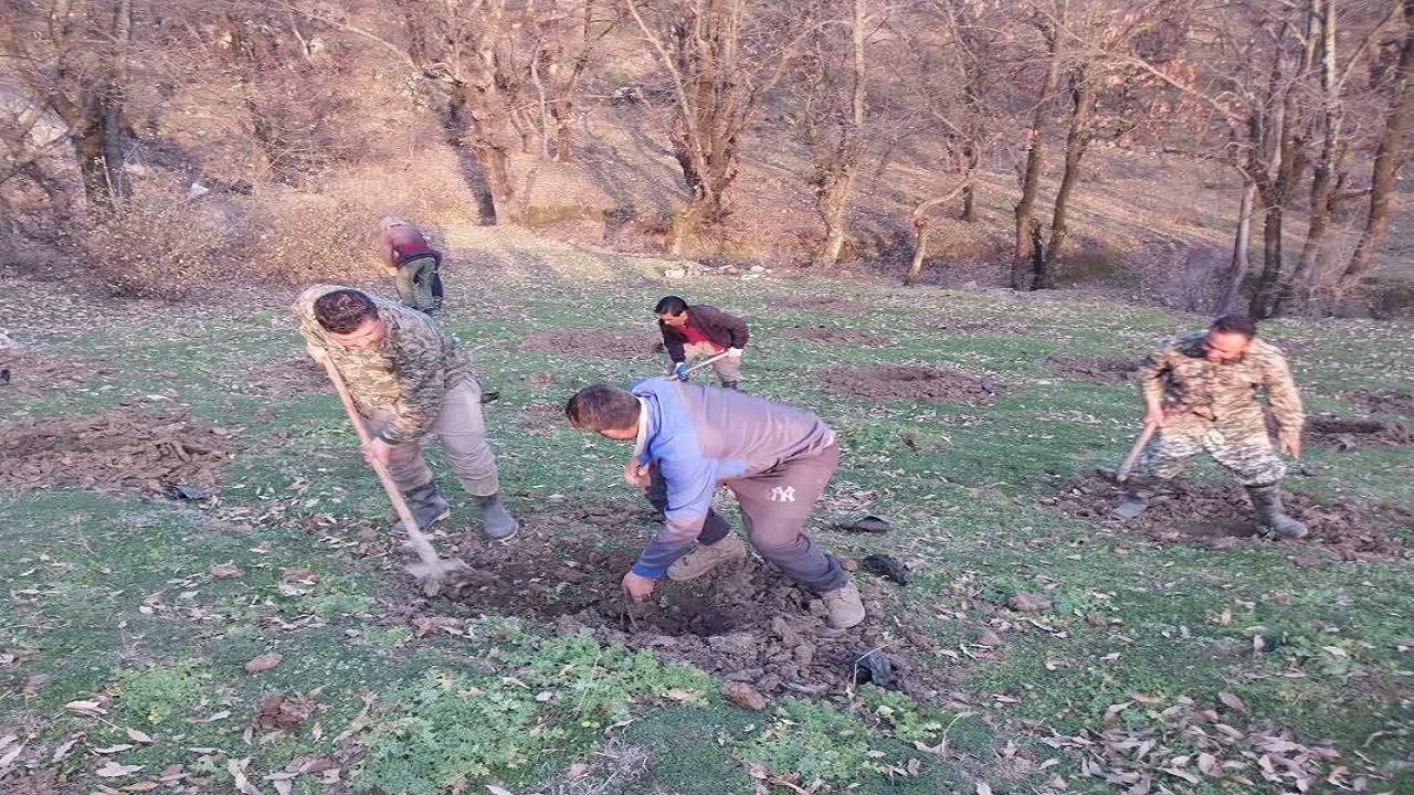 کاشت نهال به مناسبت هفته منابع طبیعی در روستای آب پران + تصاویر