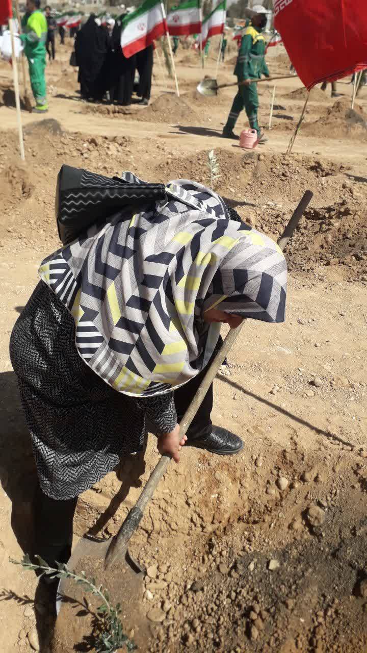 کاشت نهال در شیراز به مناسبت سال نو