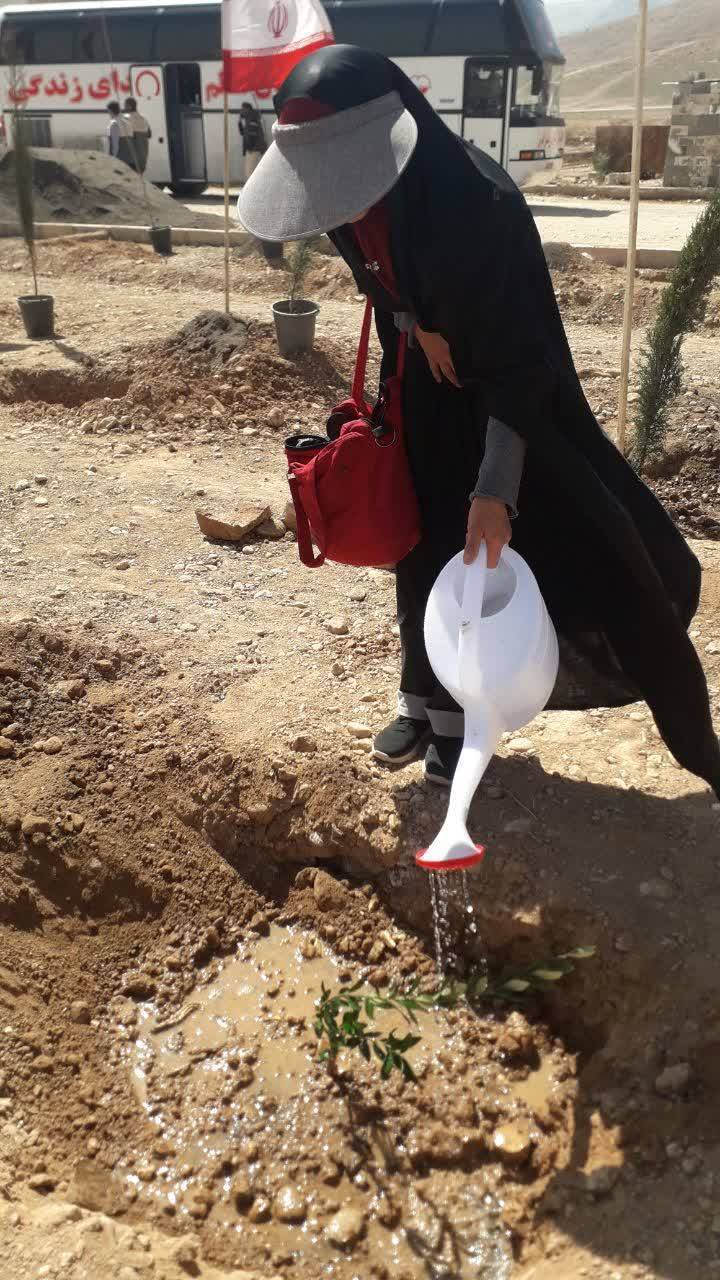 کاشت نهال