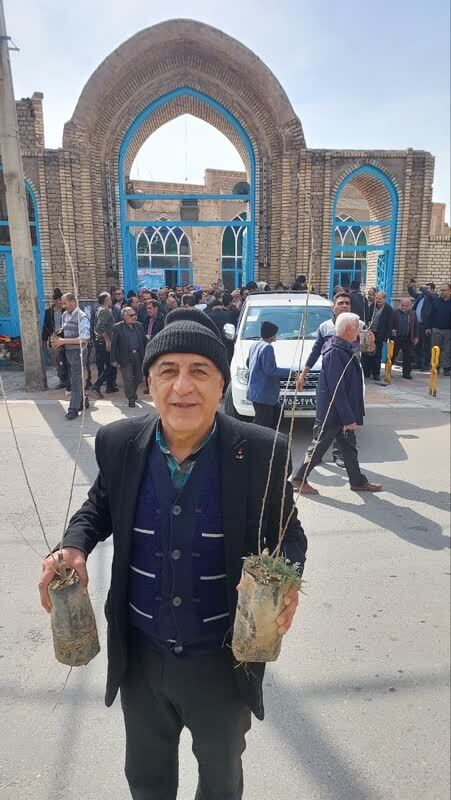 توزیع نهال در هفته درختکاری