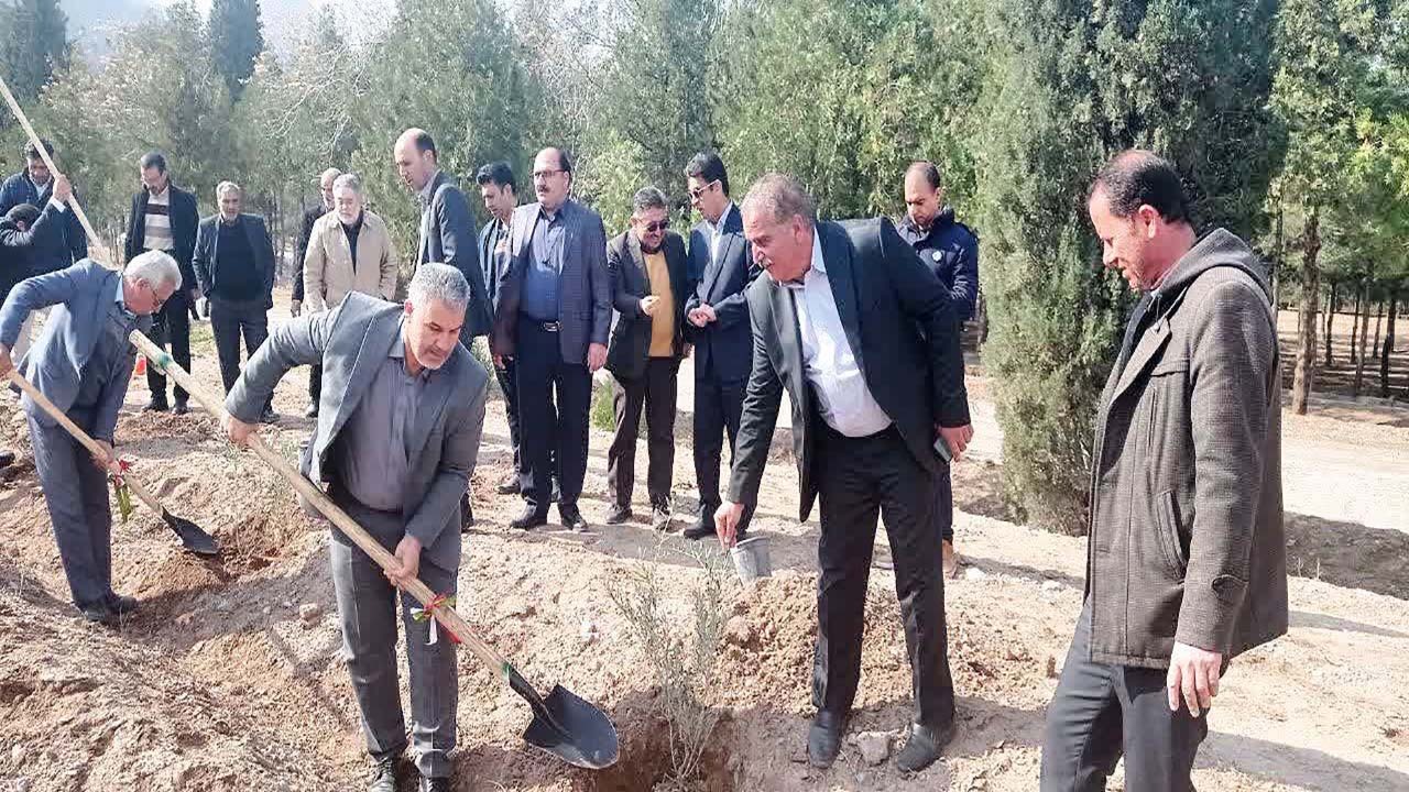 کاشت بیش از ۲۰۰ اصله درخت در پردیسان قائم (عج)