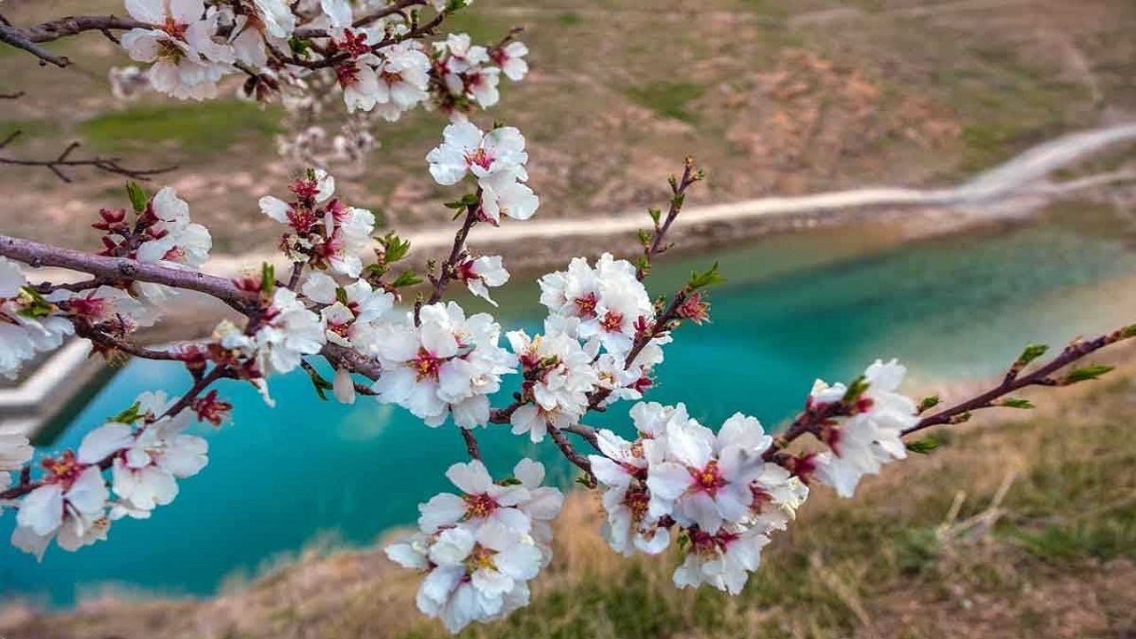 جشنواره بهار در بهار در کرمان برگزار می شود
