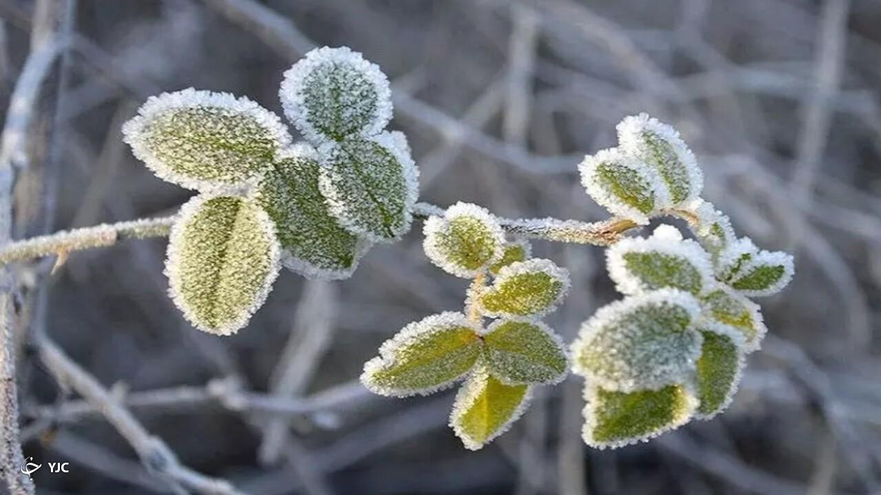 دمای هوای جنوب آذربایجان‌غربی ۳ درجه سردتر شد