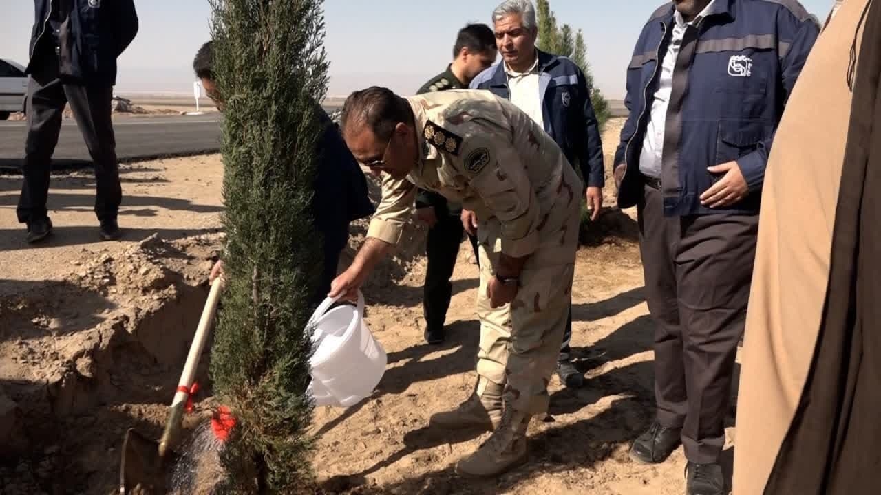 درختکاری ۷۰ هکتاری در محدوده کارخانه آهن اسفنجی بافق + عکس