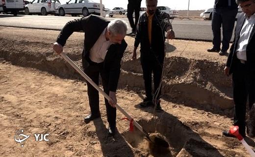 درختکاری ۷۰ هکتاری در محدوده کارخانه آهن اسفنجی بافق + عکس