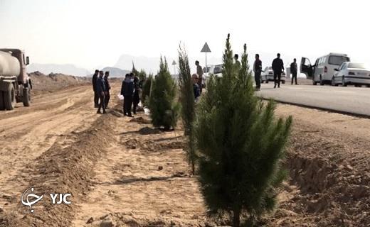 درختکاری ۷۰ هکتاری در محدوده کارخانه آهن اسفنجی بافق + عکس