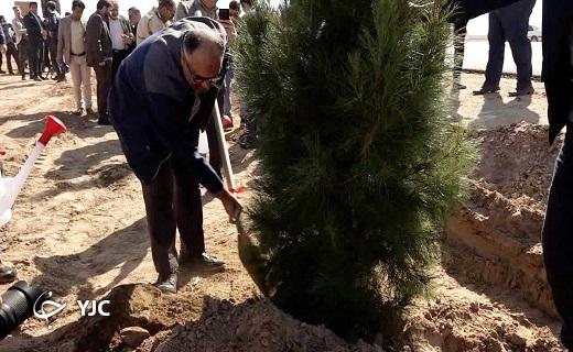 درختکاری ۷۰ هکتاری در محدوده کارخانه آهن اسفنجی بافق + عکس