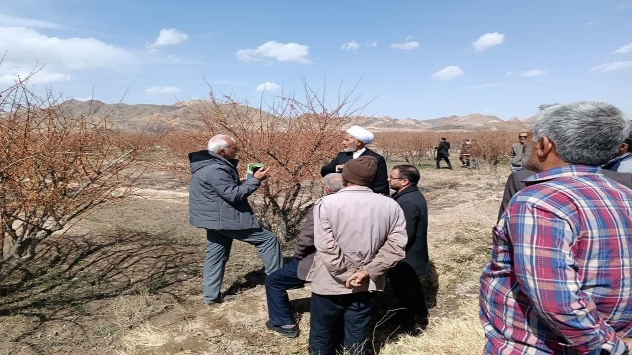 برگزاری ۲۰ دوره آموزشی برای زرشک کاران خراسان جنوبی
