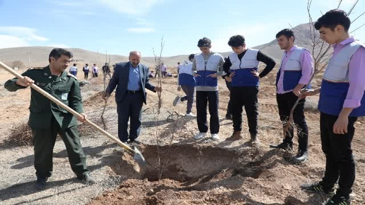 غرس ۲۶۵ هزار نهال مثمر و غیرمثمر در بام ایران