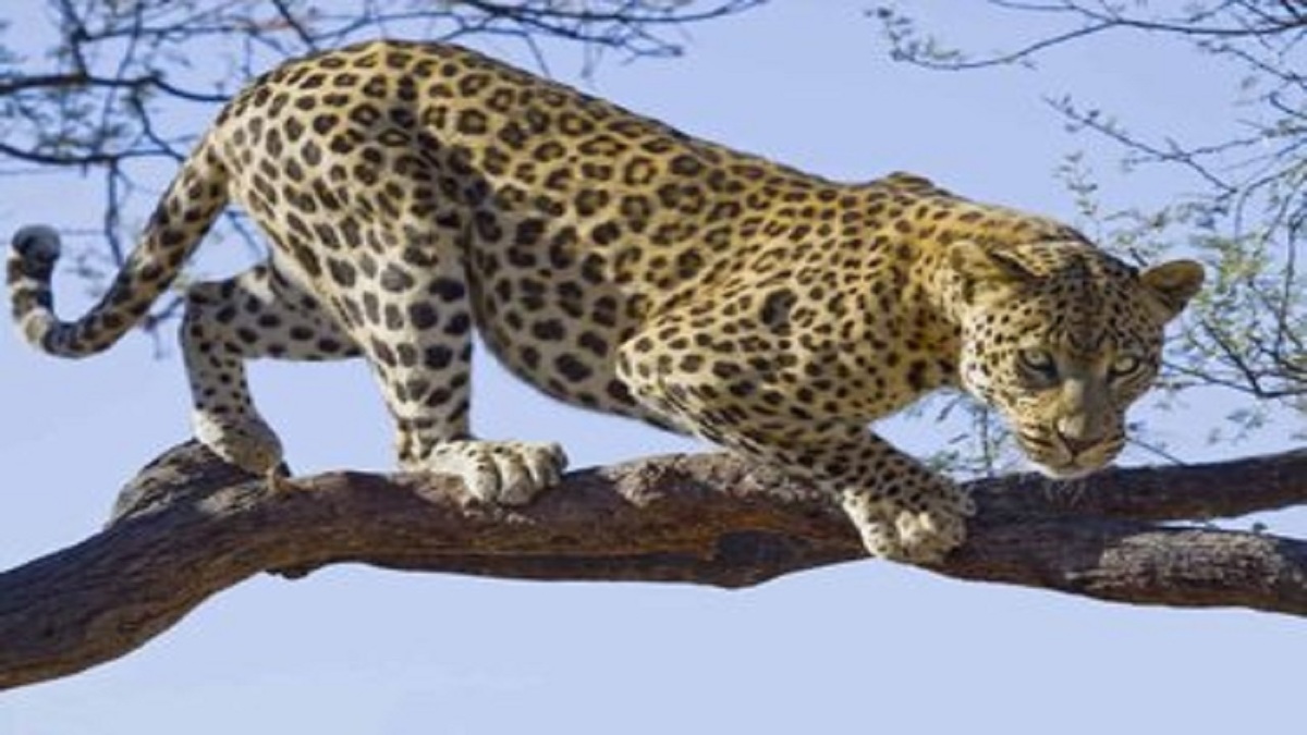 اقدامات اورژانسی هنگام برق گرفتگی + فیلم