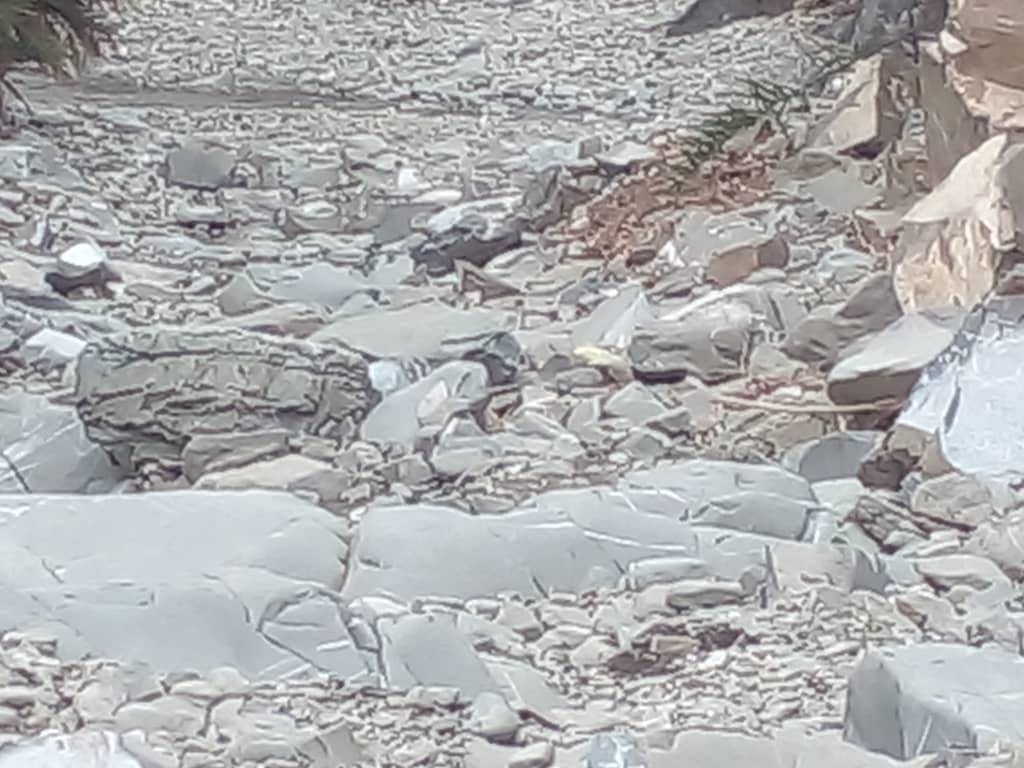 سیل و آبگرفتگی در سیستان و بلوچستان