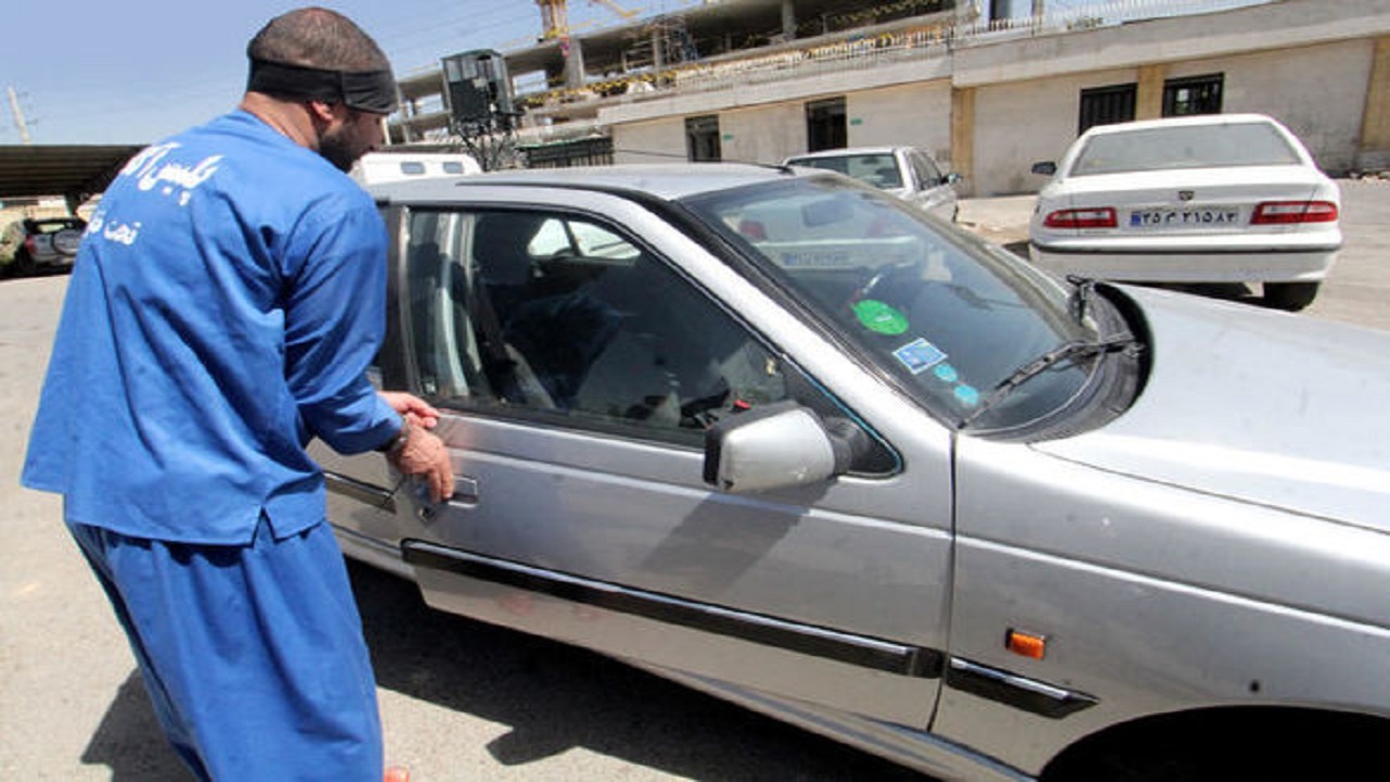 باند سارقان خودرو در دام پلیس کرمان 