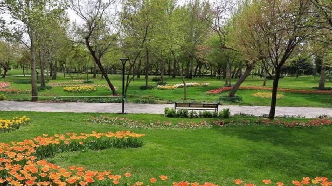 رسیدن سرانه فضای سبز قم به ۲۱ مترمربع
