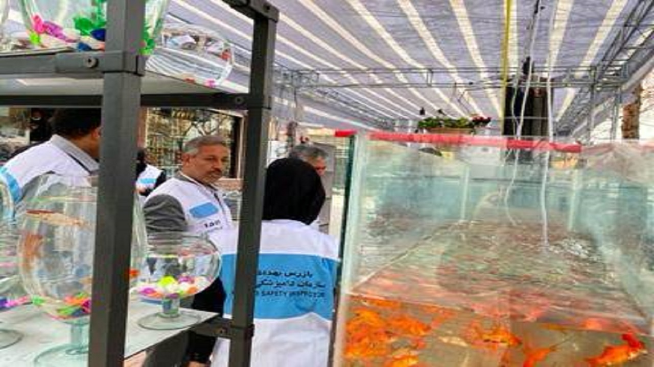 برخورد جدی دامپزشکی کرمان علیه متخلفان عرضه ماهی قرمز