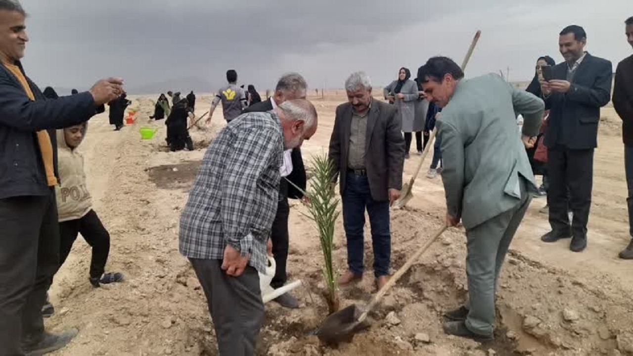 کاشت نخل با دستان خانواده شهدا در بافق