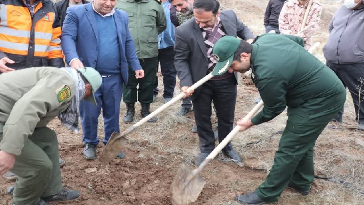 گرامیداشت هفته درختکاری و منابع طبیعی در طالقان با کاشت نهال + تصاویر