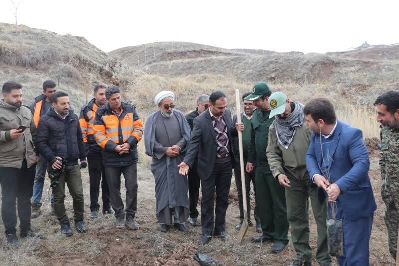کاشت درختان