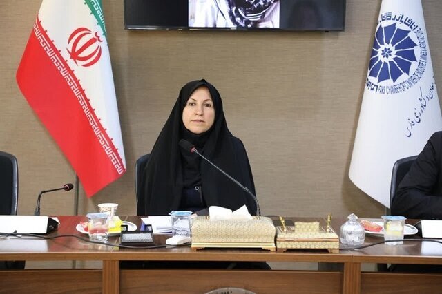 قوانین دست و پاگیر موجود، تولید را با چالش روبرو می‌کند