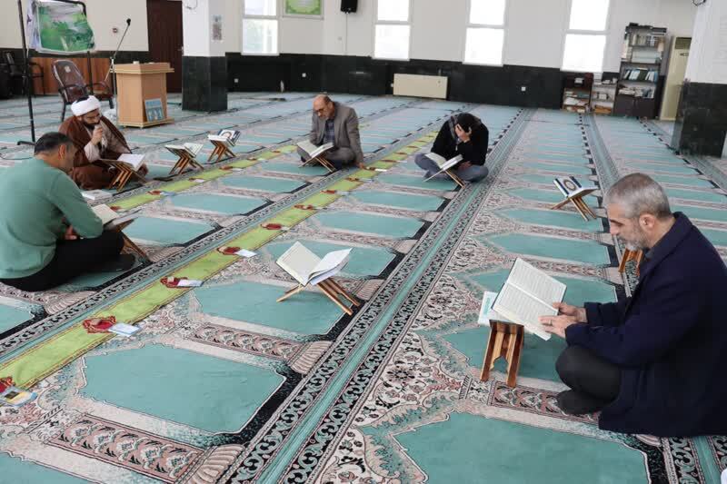 تلاوت جمعی قرآن