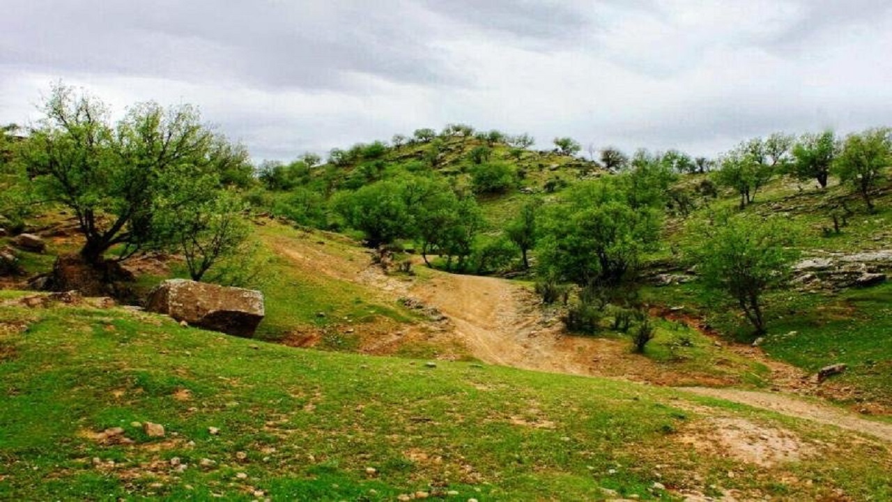 خلع ید بیش از ۵۷۰ هکتار از اراضی جنگلی و ساحلی در گلستان