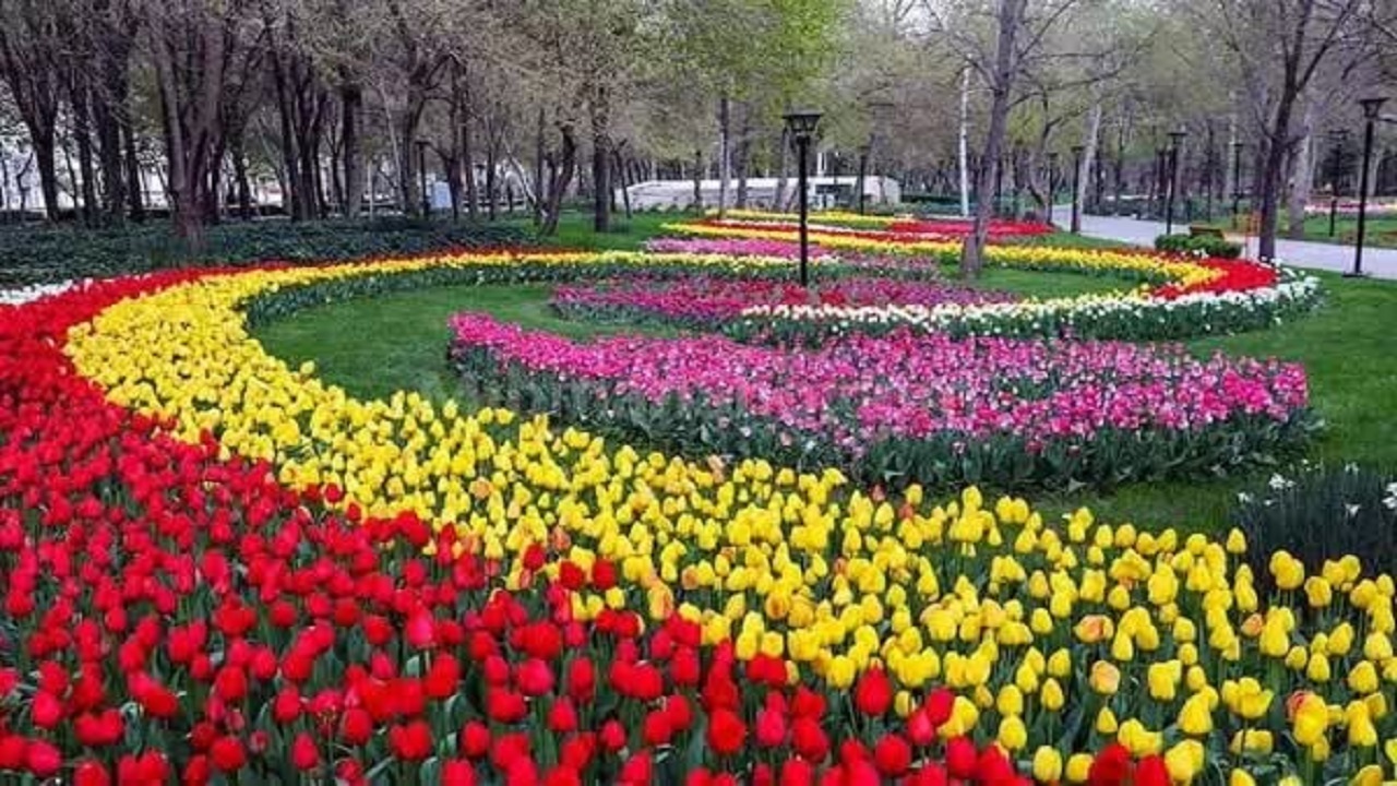 شهرداری کرمانشاه به پیشواز نوروز می رود/برپایی ۱۴ سفره هفت‌سین در مناطق هشت‌گانه