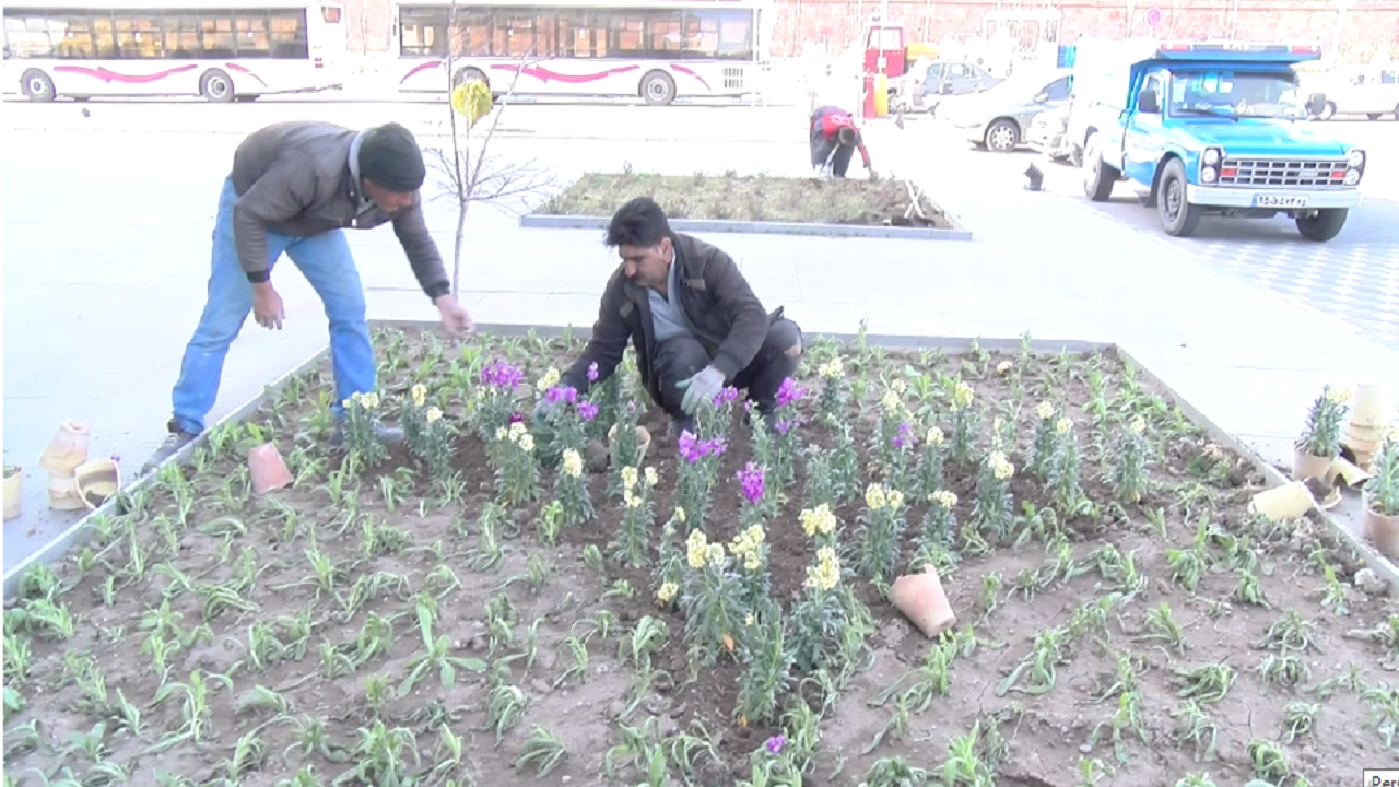 کاشت ۱۵ هزارگلدان گل برای استقبال از سال نو