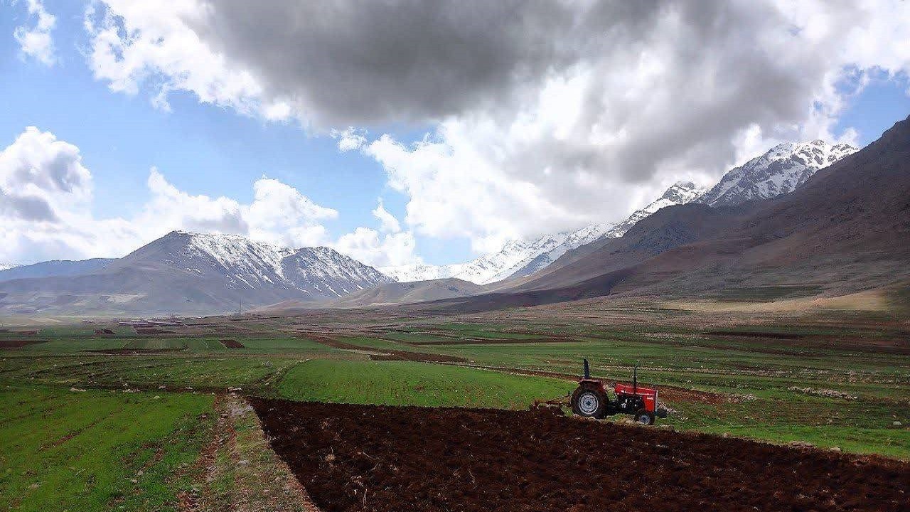 آغاز کشت نخود سفید بهاره در روستای حصار + تصاویر