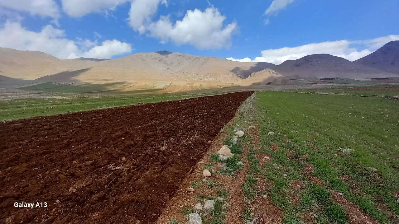 زمین زراعی