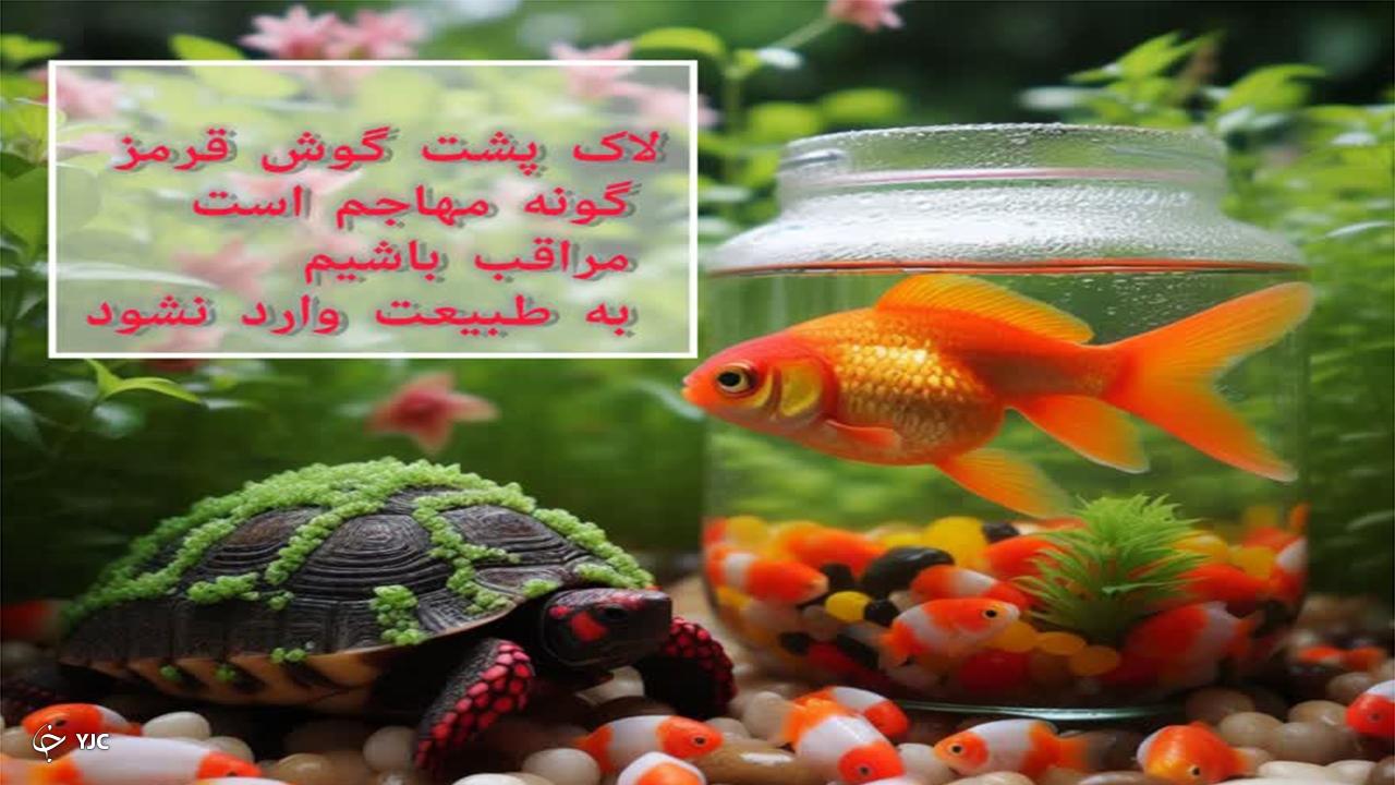 رهاسازی گونه‌های غیربومی در طبیعت ممنوع!