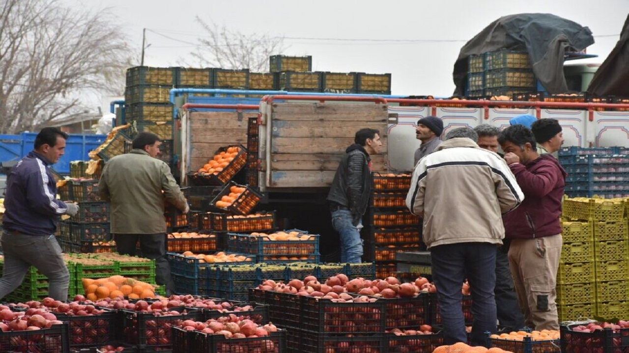توزیع میوه شب عید در استان اردبیل