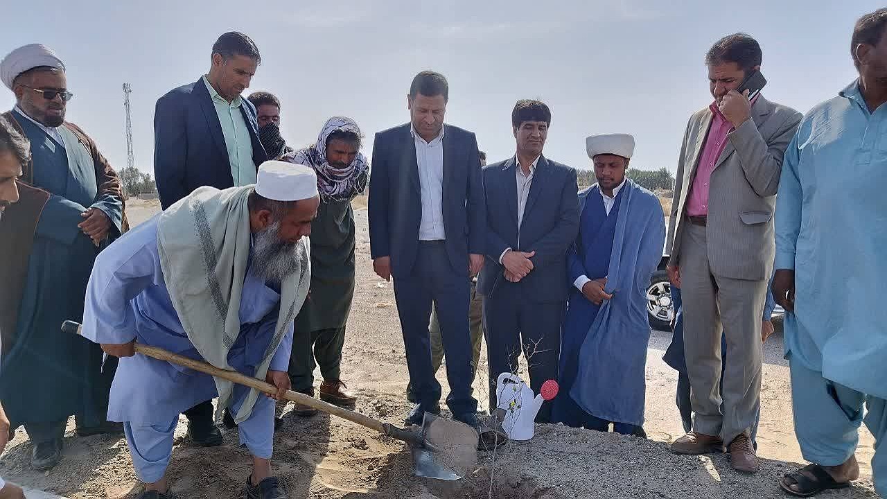 کشت هزار نهال در رحمت آباد ریگان