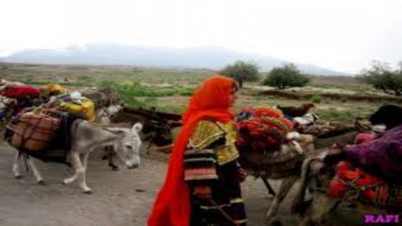 ۱۱ کشته و زخمی در پی درگیری کوچی ها و باشندگان فاریاب