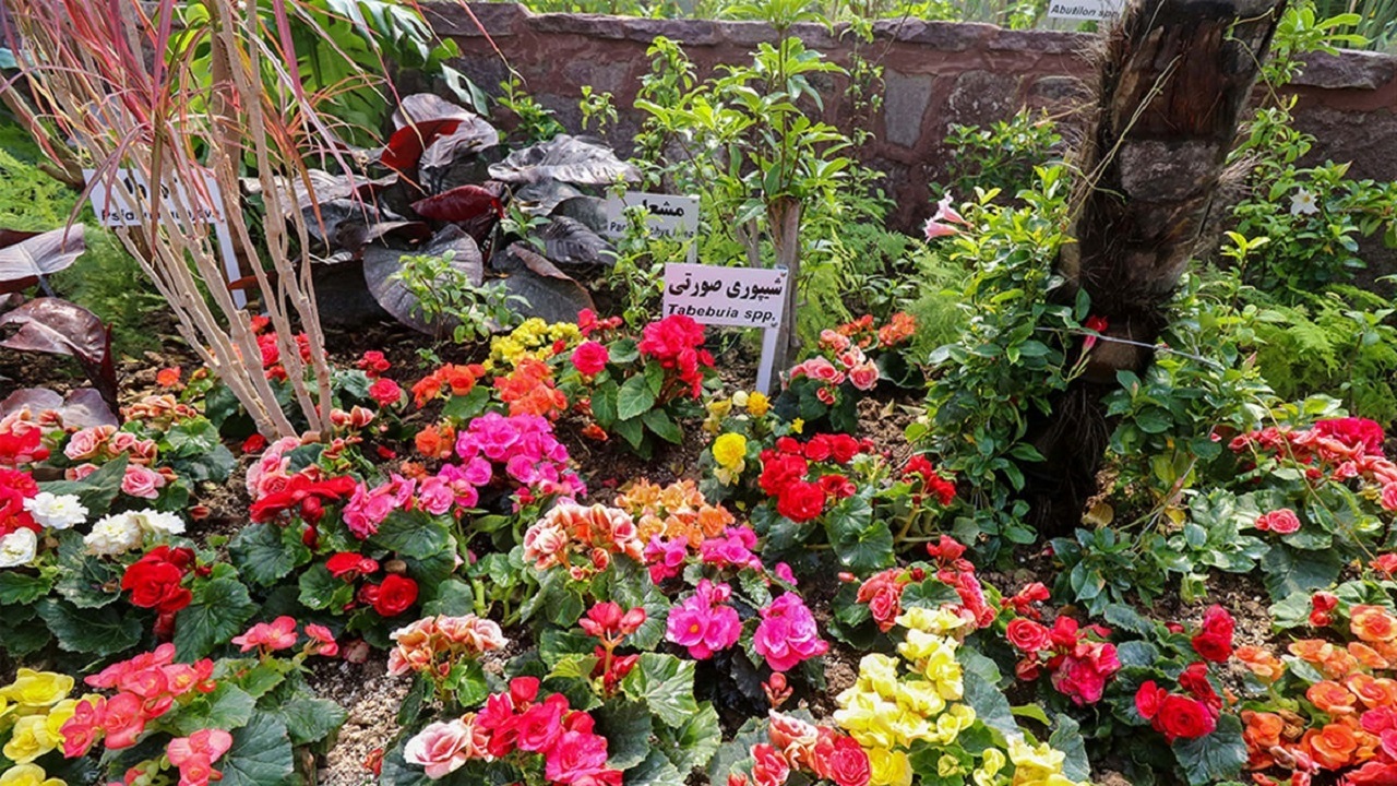 کاشت ۸۰ گونه گل فصل در باغ گل‌ها برای استقبال از نوروز