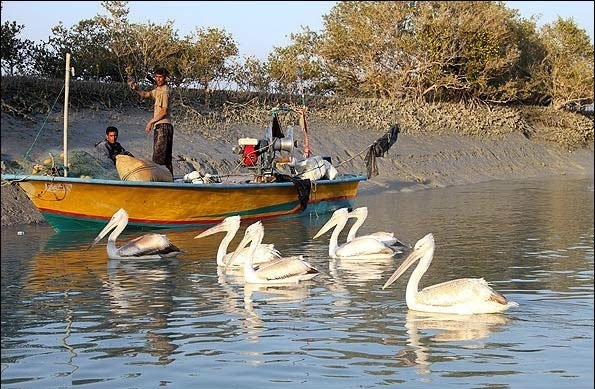 آمادگی جزیره قشم در تعطیلات نوروزی/پیش بینی سفر یک میلیون سیصد هزار  مسافر به این جزیره