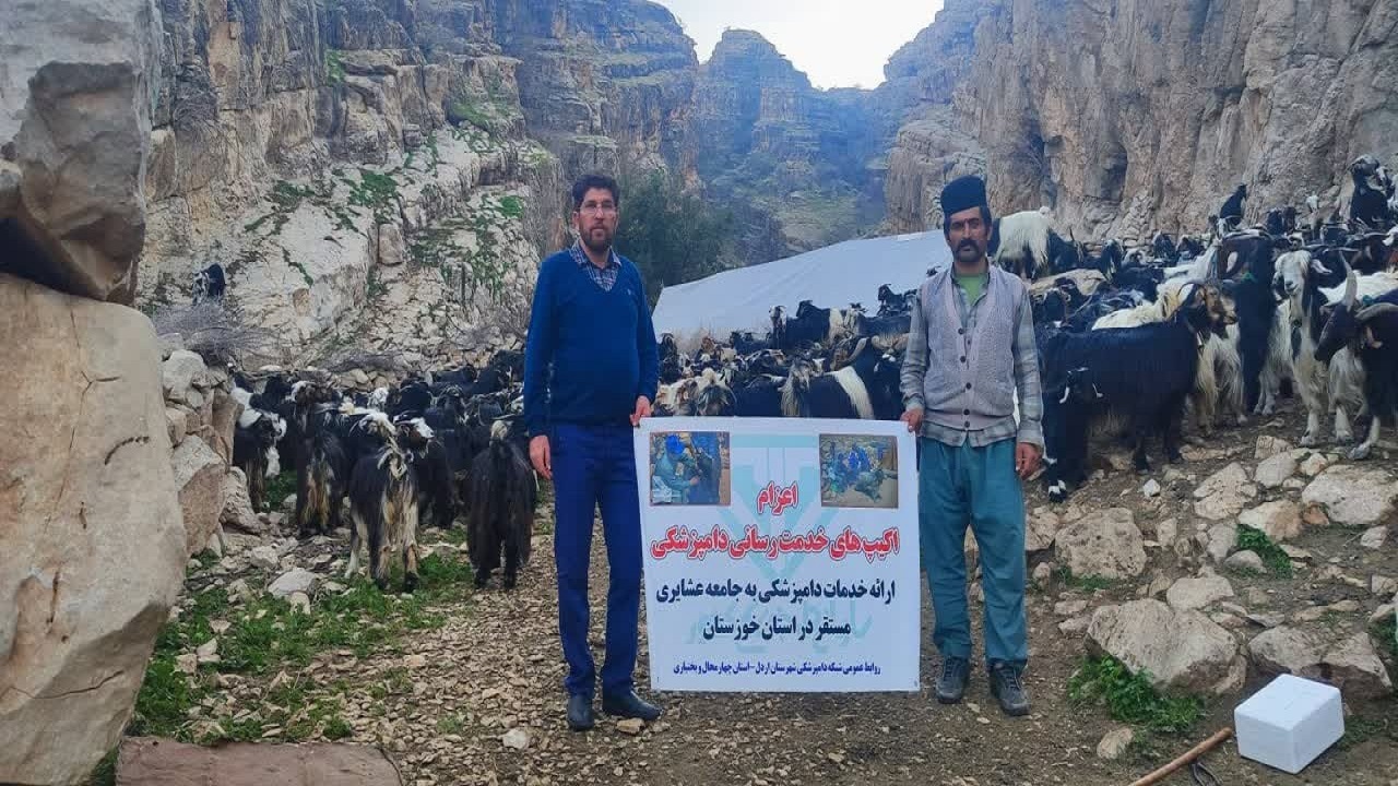 مایه کوبی دام‌های عشایر شهرستان اردل مستقر در استان خوزستان